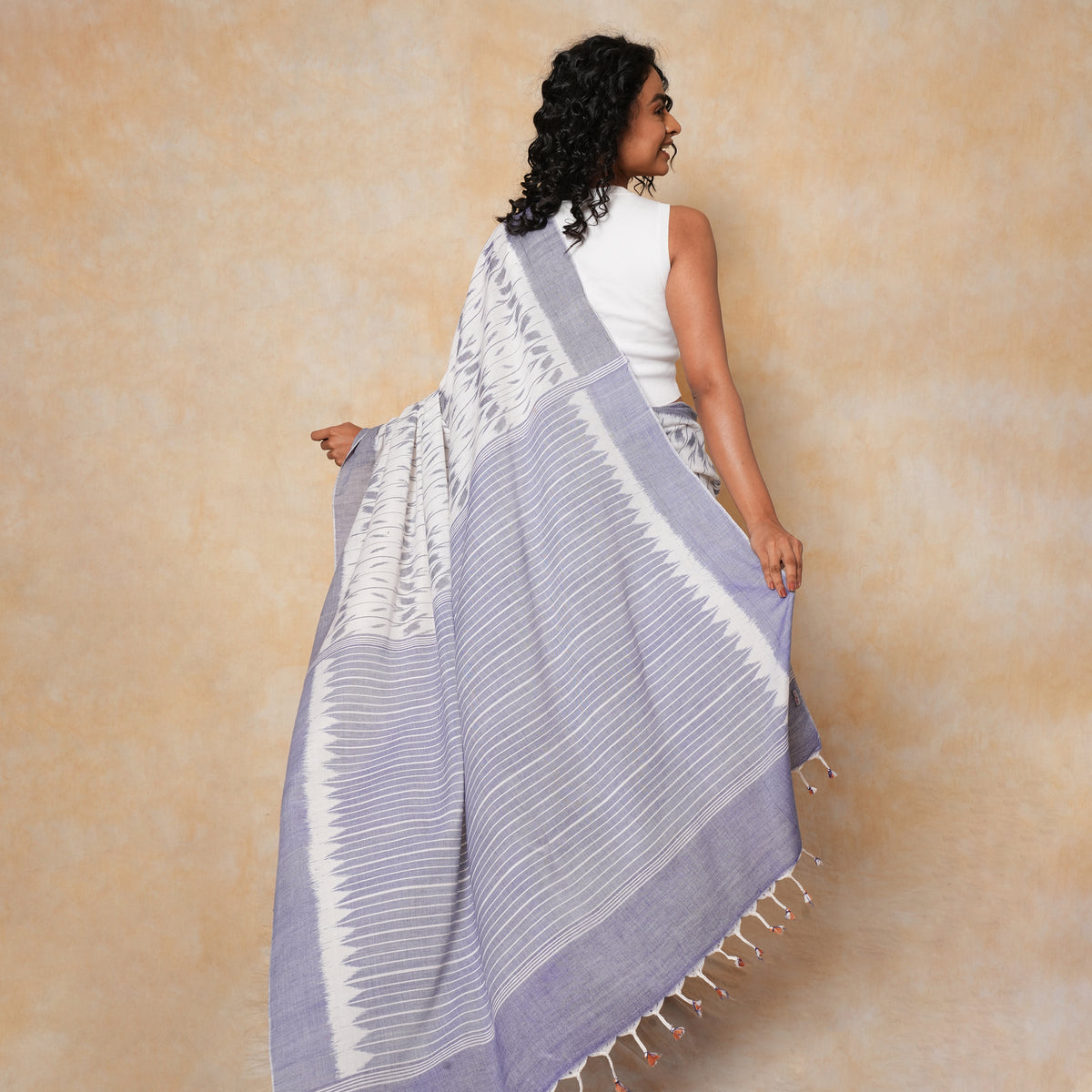 DISHA Handloom Cotton Saree - White and Blue