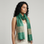 Tussar Silk Stole - Sea Green