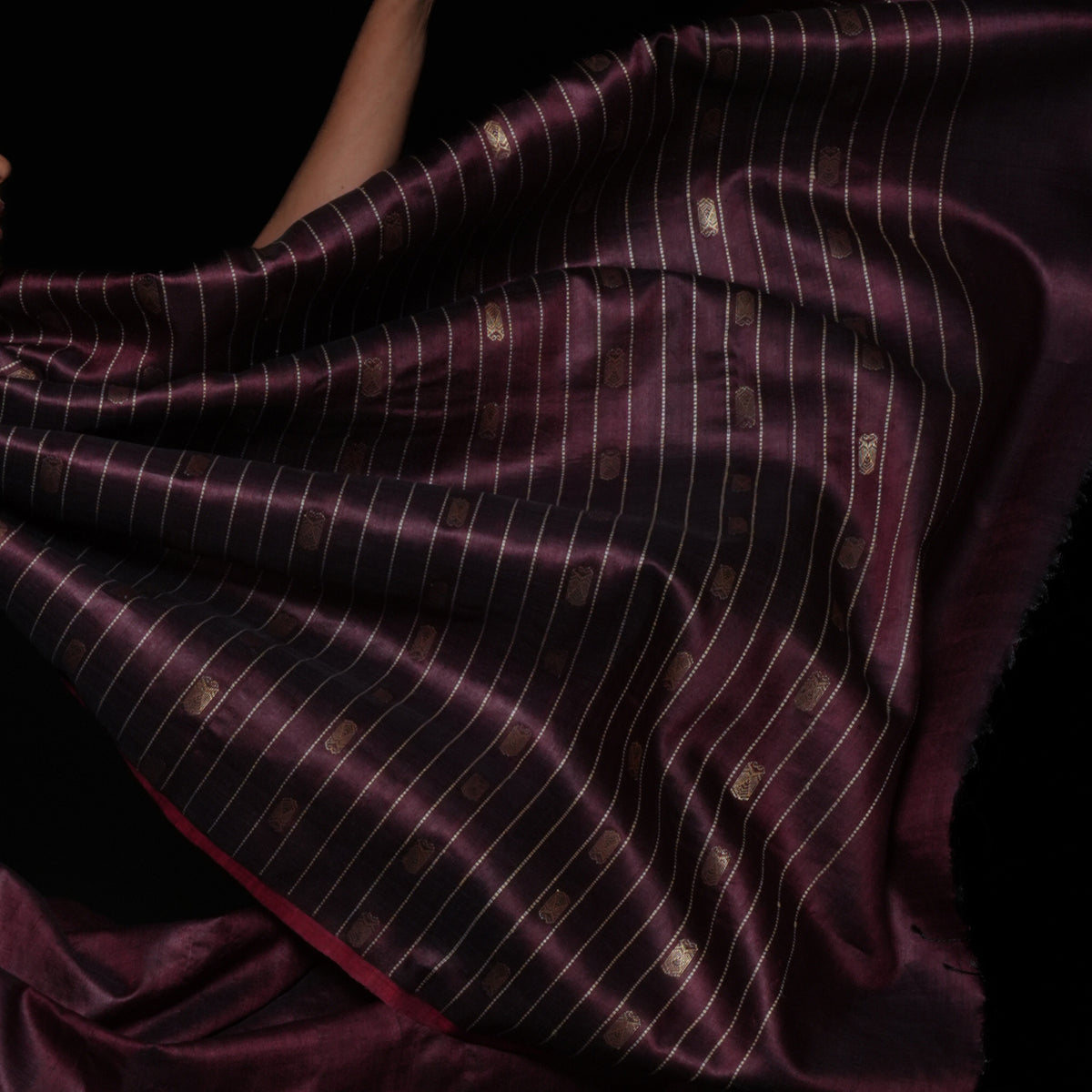 Neer Zari Handwoven Tussar Silk Saree - Wine